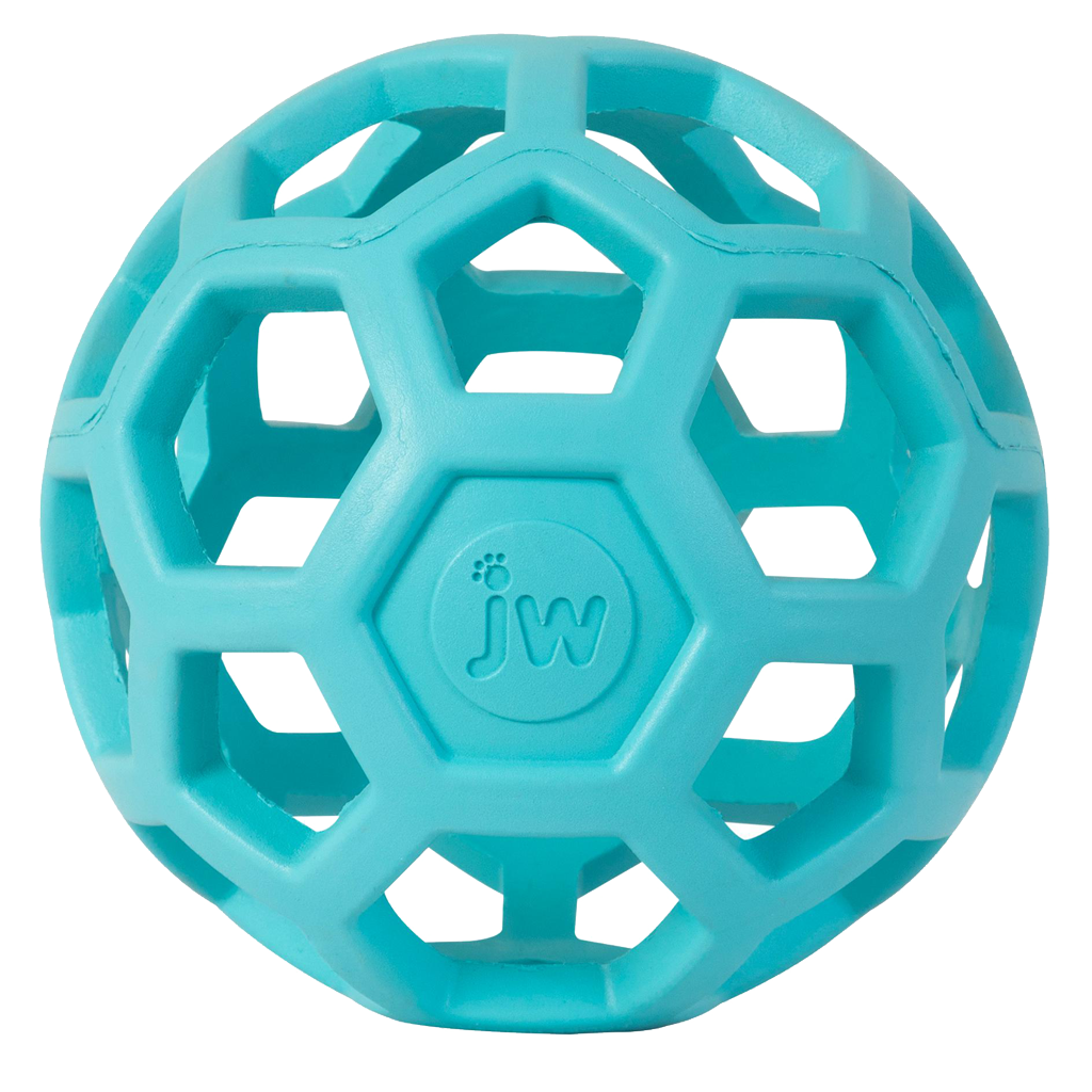 Balle Hol-ee Roller Bleu Clair - Small