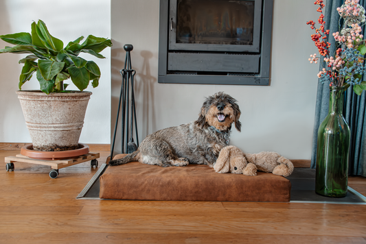 Orthopedic Bed Mellow Mattress M Taupe