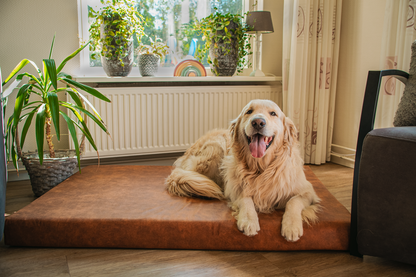Lit Orthopédique Mellow Mattress