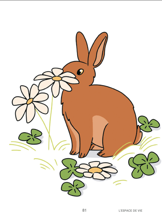Le langage du lapin — Lona Garcia