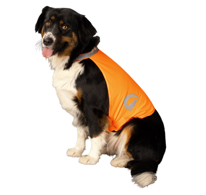 Gilet de Sécurité Réfléchissant Orange - Taille S