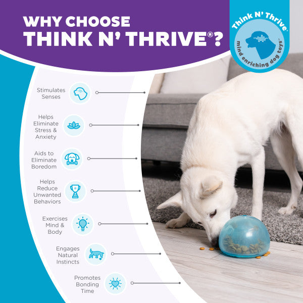 Jouet Interactif Orbee-Tuff Snoop - Taille L