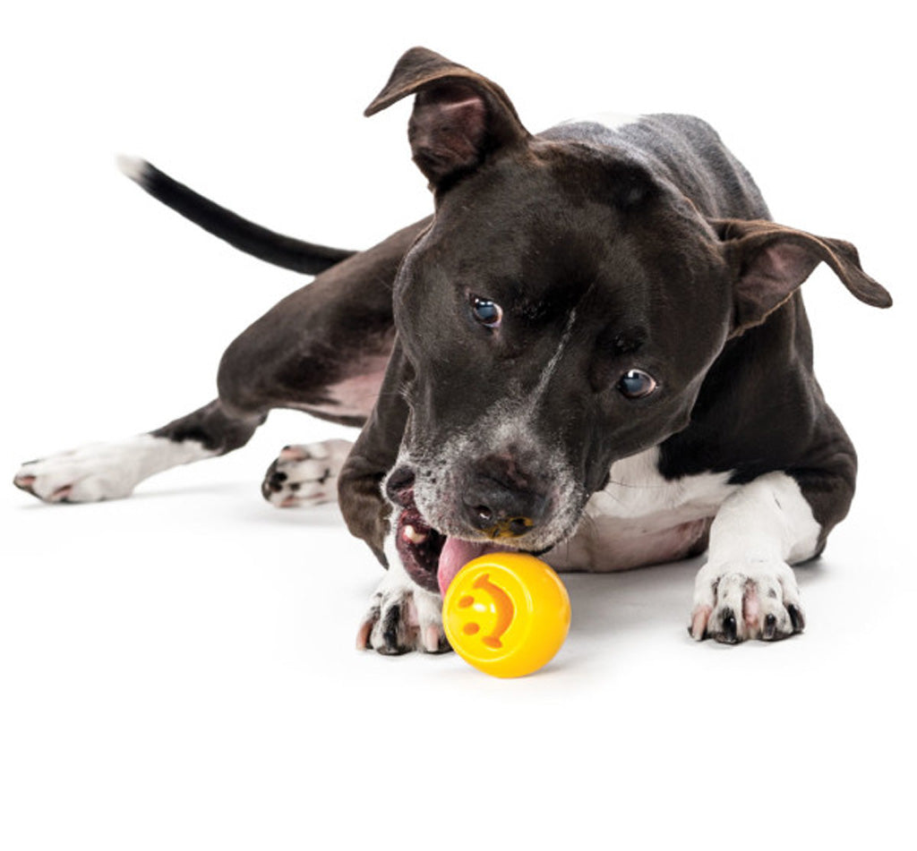 Jouet Interactif Orbee-Tuff Nooks