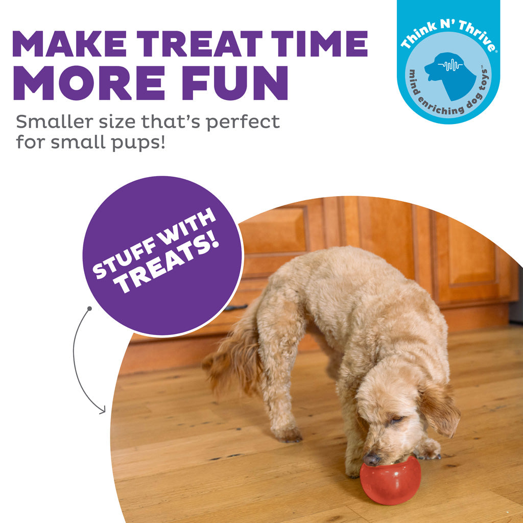 Jouet Interactif Orbee-Tuff Snoop - Taille S