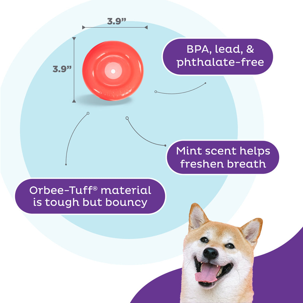 Jouet Interactif Orbee-Tuff Snoop - Taille S