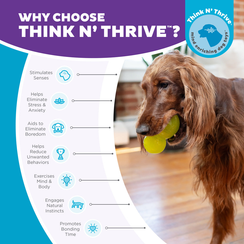 Jouet Dentaire Double-Tuff - Taille L