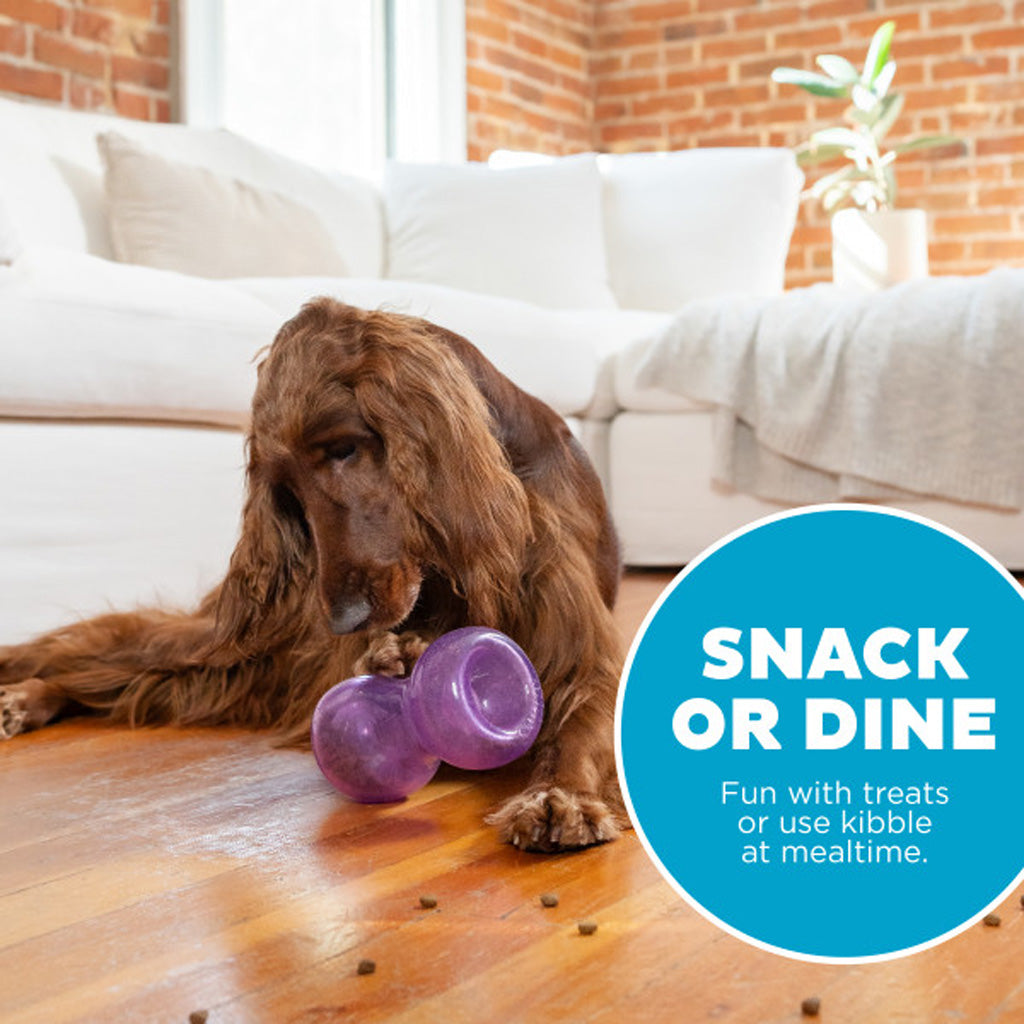 Jouet Interactif Double Snoop