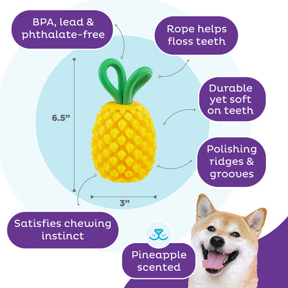 Jouet Dentaire Ananas 2-en-1