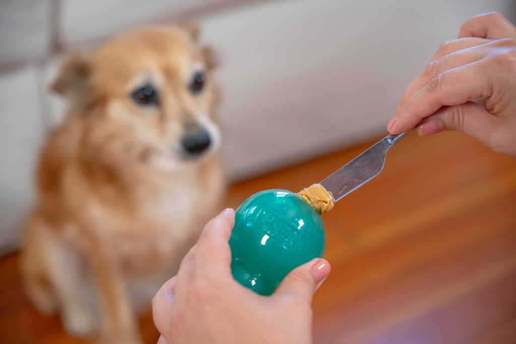 Jouet Dentaire Double-Tuff - Taille M