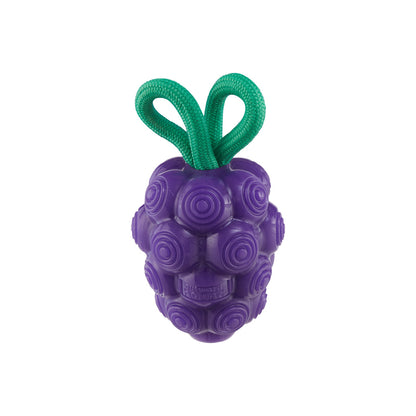 Jouet Dentaire Raisin 2-en-1