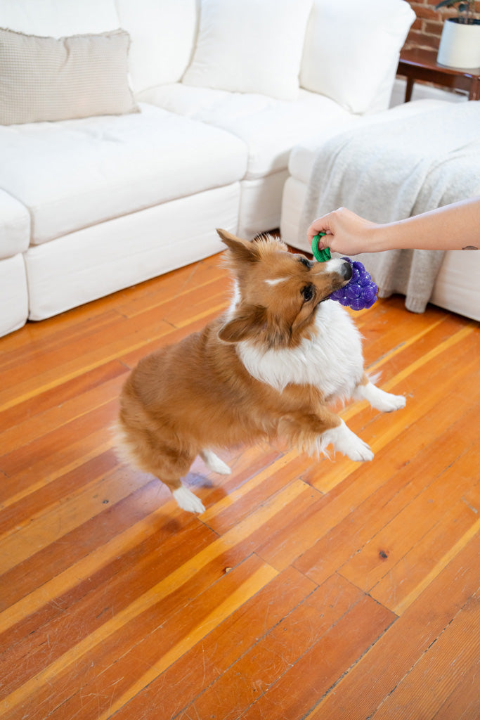 Jouet Dentaire Raisin 2-en-1