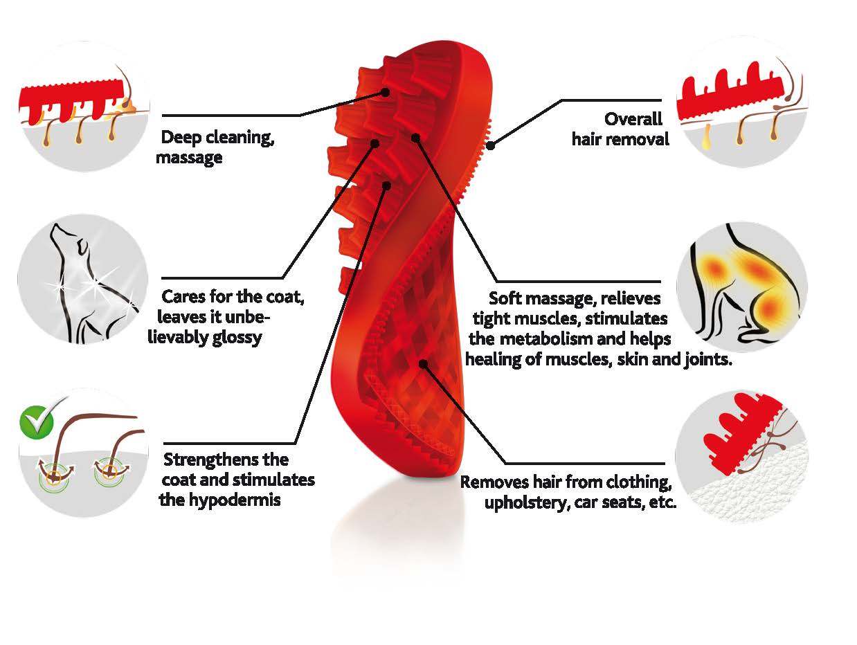 Brosse 4-en-1 Poils longs