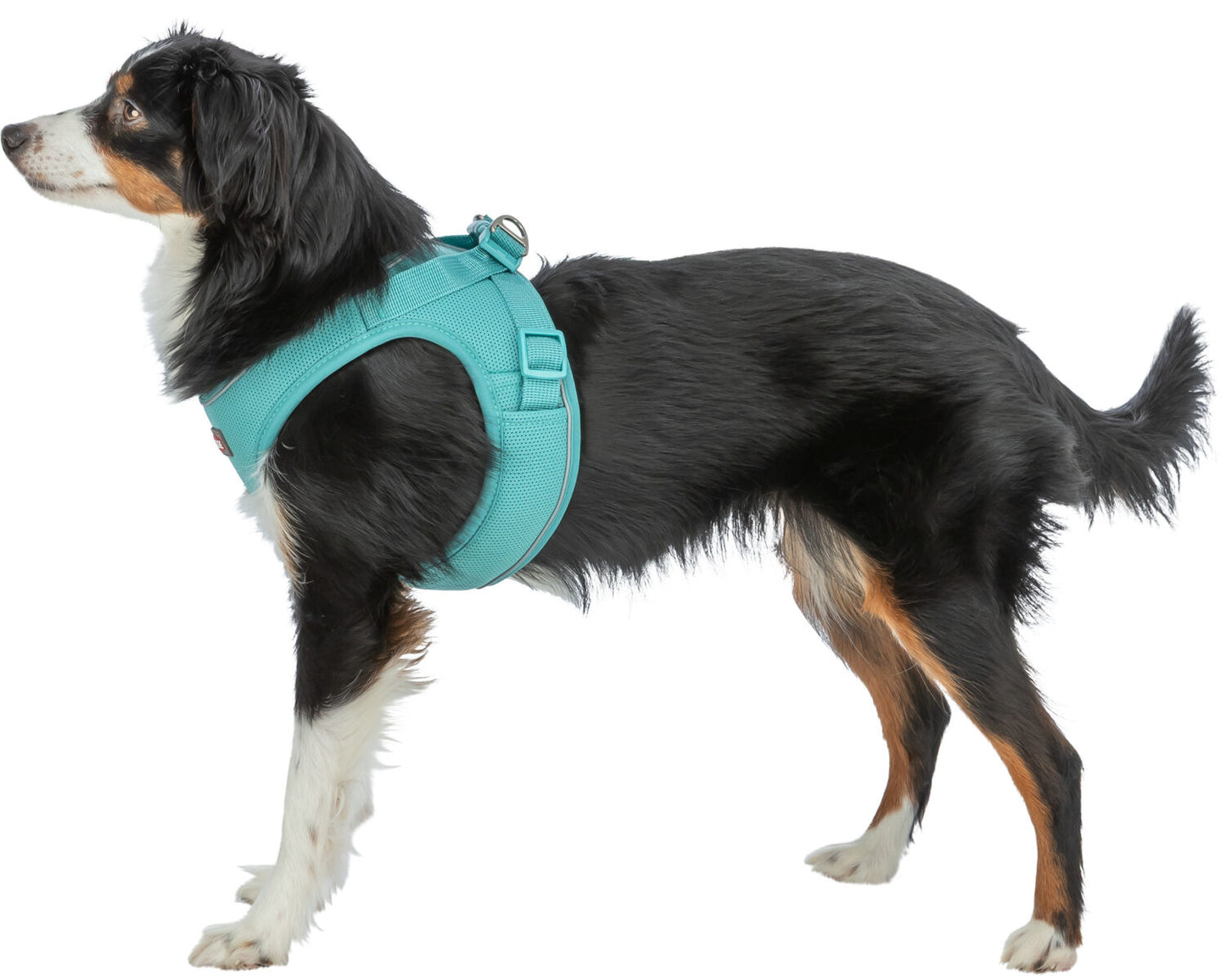 Harnais Urbanvest Mesh