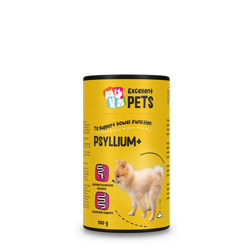 Fibres de Psyllium Chien - 100 g