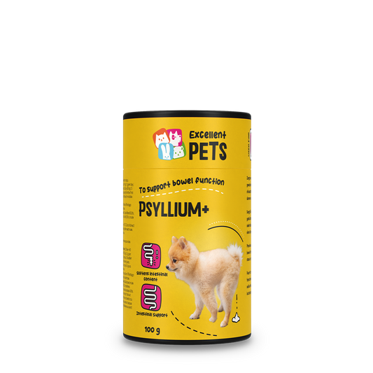 Fibres de Psyllium Chien - 100 g