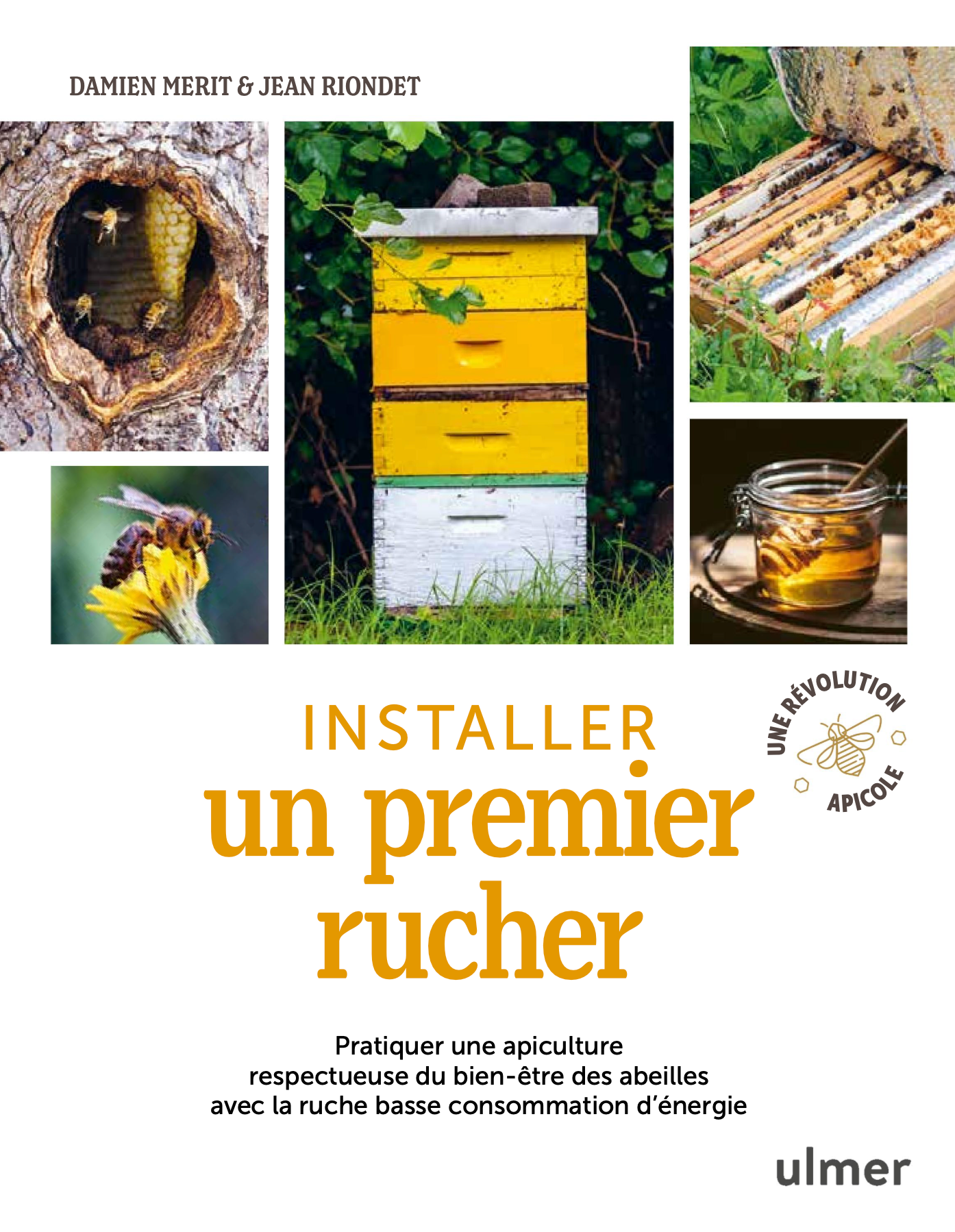 Installer un premier rucher (nouvelle édition)