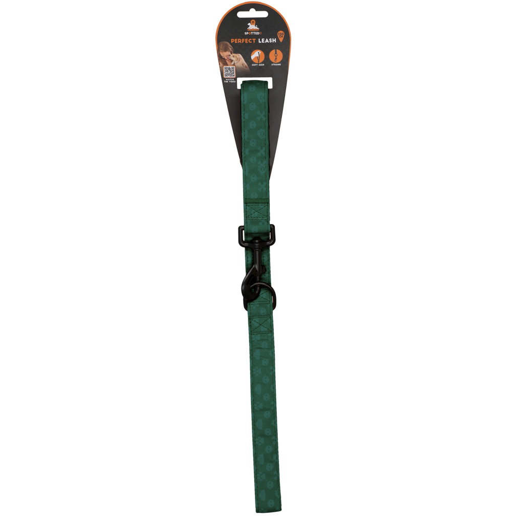 Laisse Perfect Vert - 120 cm