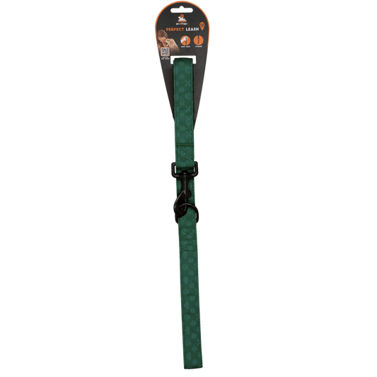 Laisse Perfect Vert - 120 cm