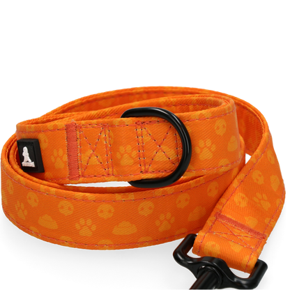 Laisse Perfect Orange - 120 cm