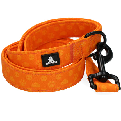 Pack M'Orange 🍊