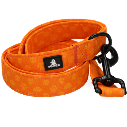 Laisse Perfect Orange - 120 cm