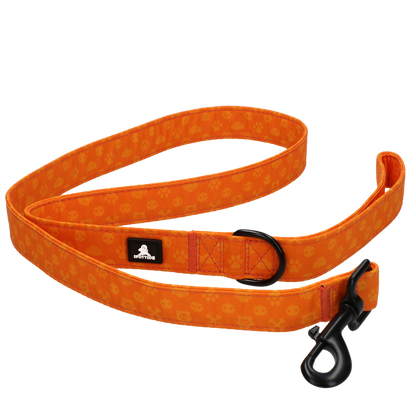 Laisse Perfect Orange - 120 cm