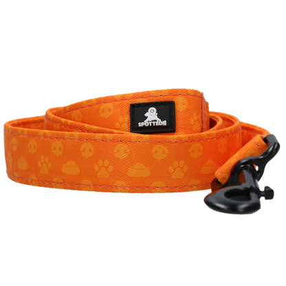 Laisse Perfect Orange - 120 cm