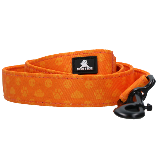 Perfect Leine Orange - 120 cm