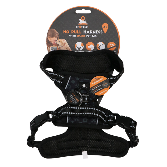 Harnais Anti-Traction Gris Foncé - Taille XS