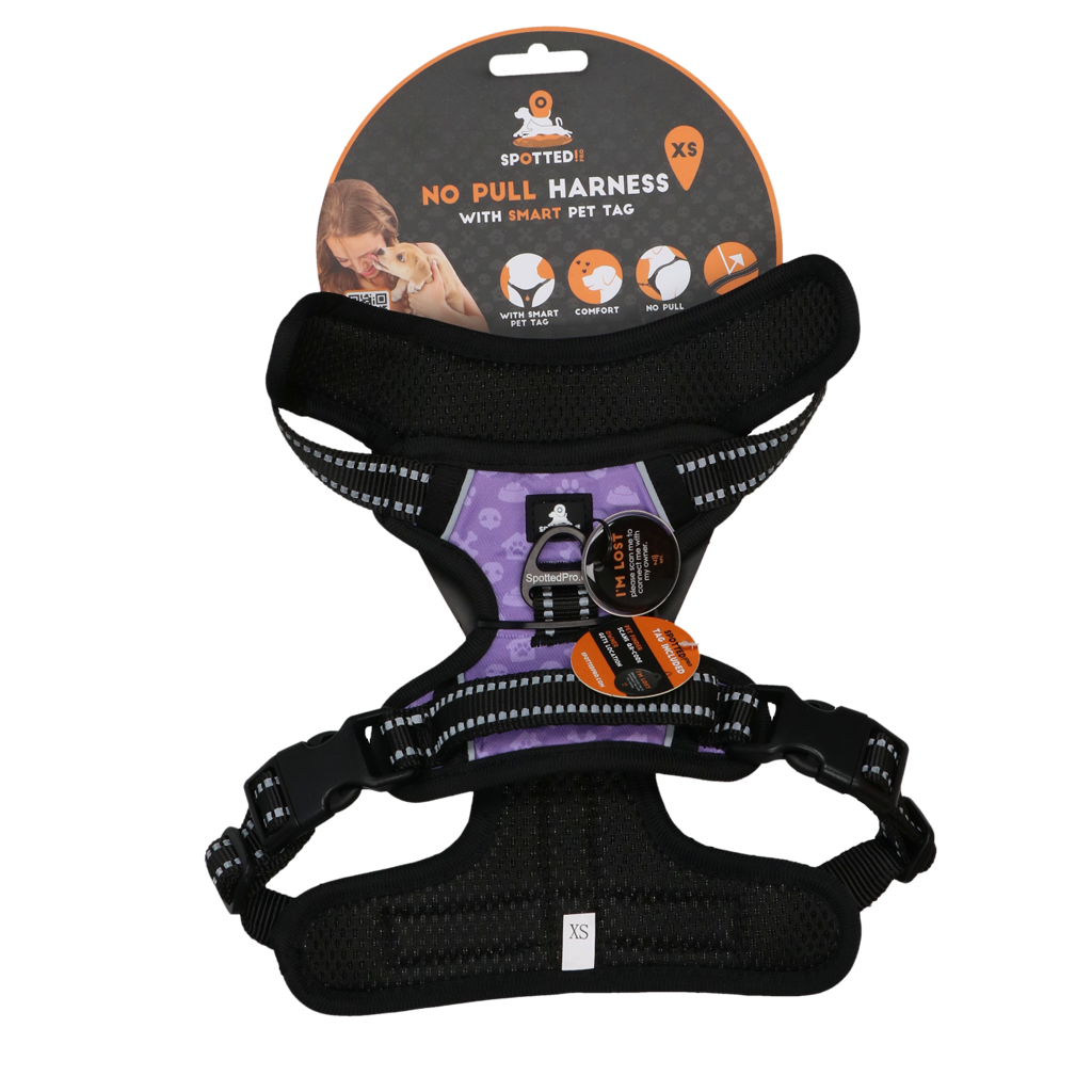 Harnais Anti-Traction Violet - Taille XS