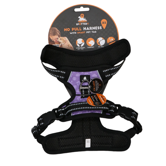 Harnais Anti-Traction Violet - Taille XS