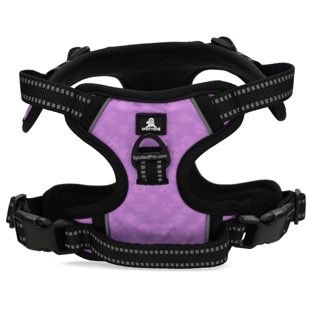 Harnais Anti-Traction Violet - Taille XS