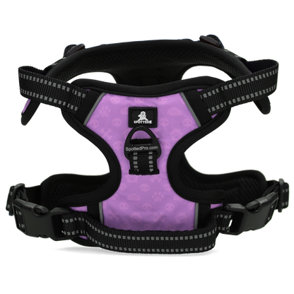 Harnais Anti-Traction Violet - Taille XS