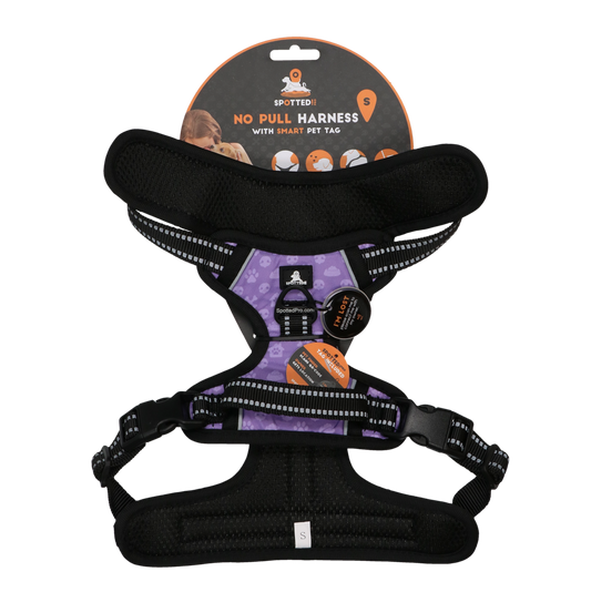 Harnais Anti-Traction Violet - Taille S