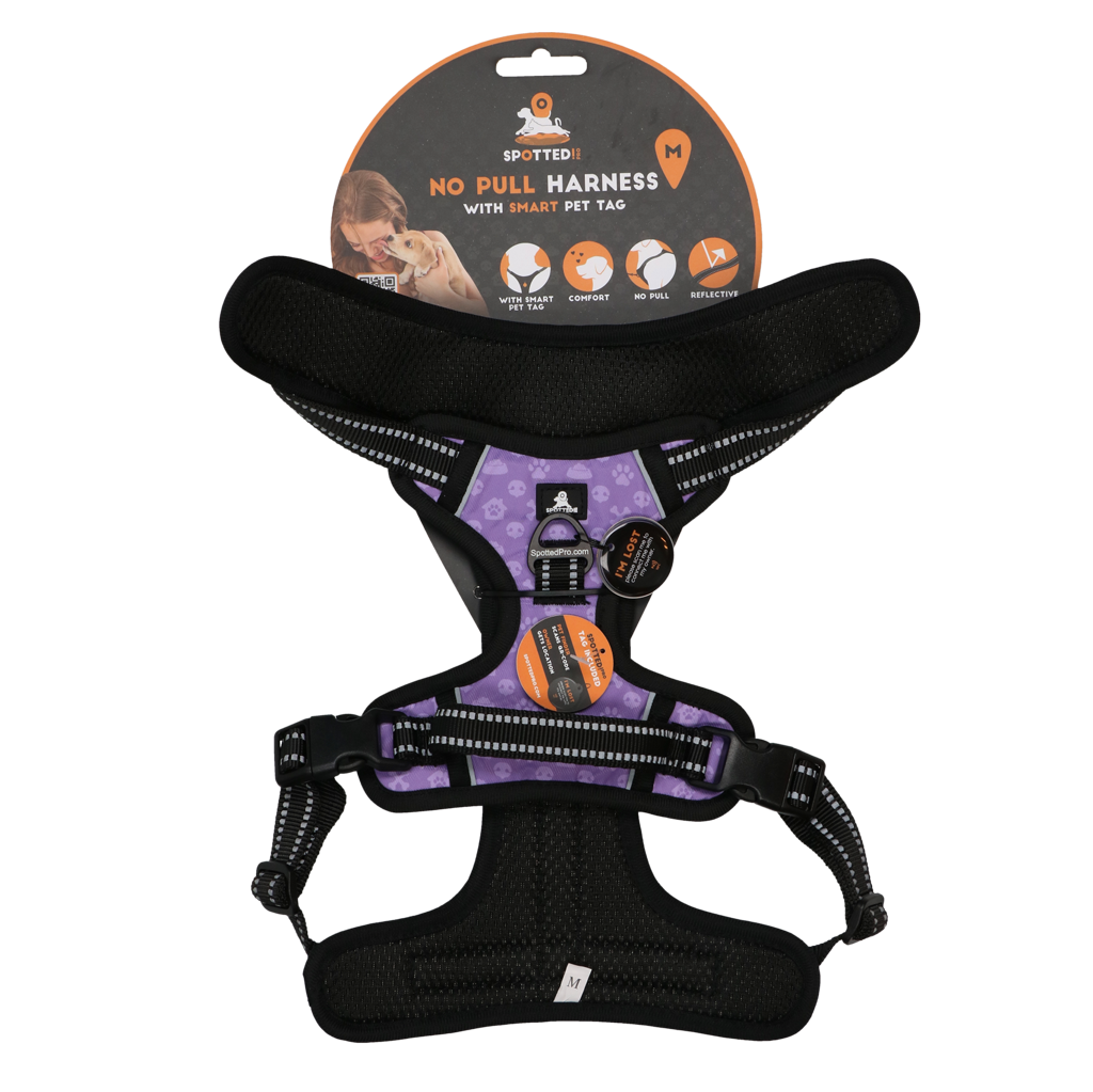 Harnais Anti-Traction Violet - Taille M