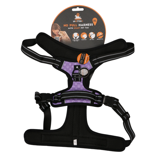 Harnais Anti-Traction Violet - Taille XL