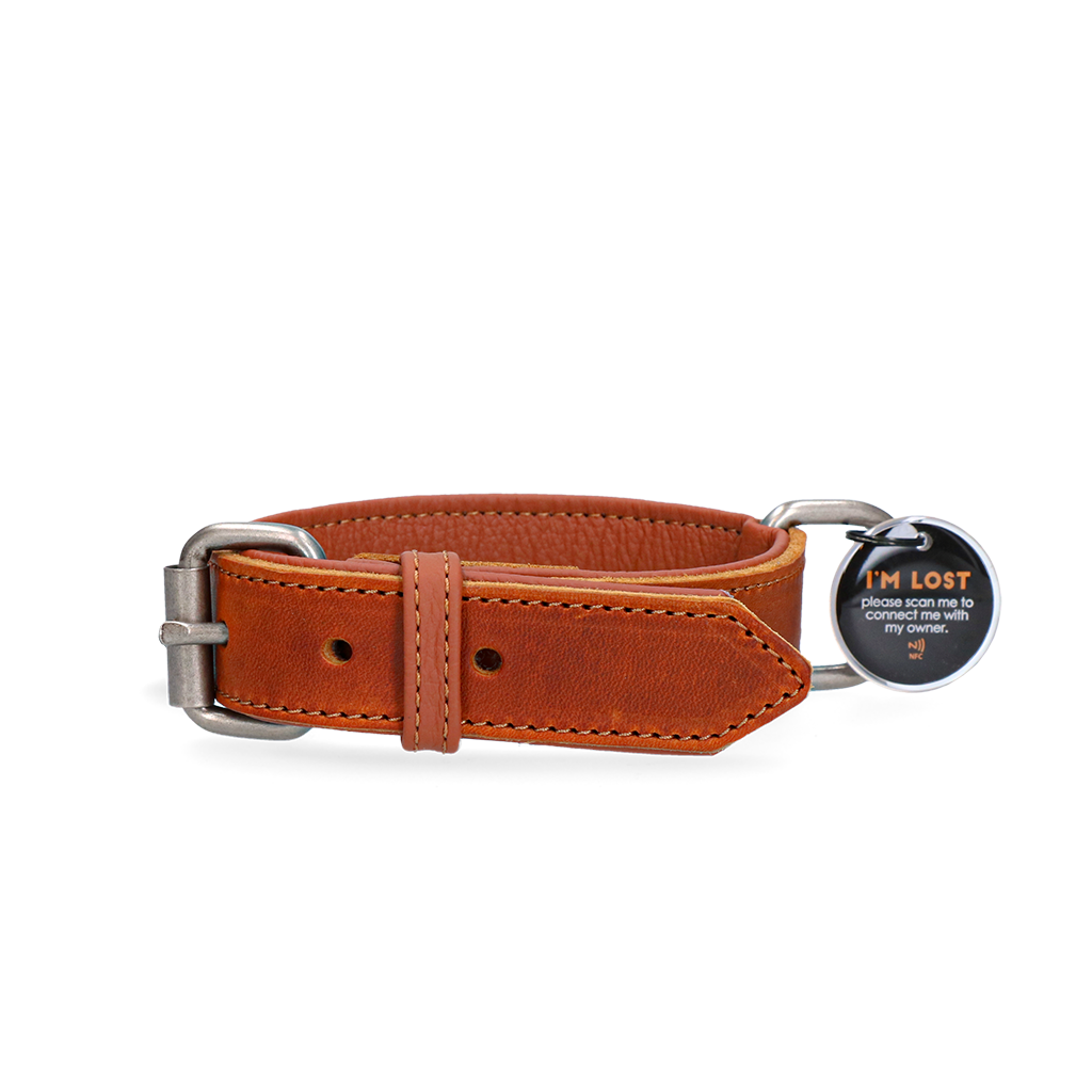 Lederhalsband mit vernetzter Marke Cognac - 40 cm