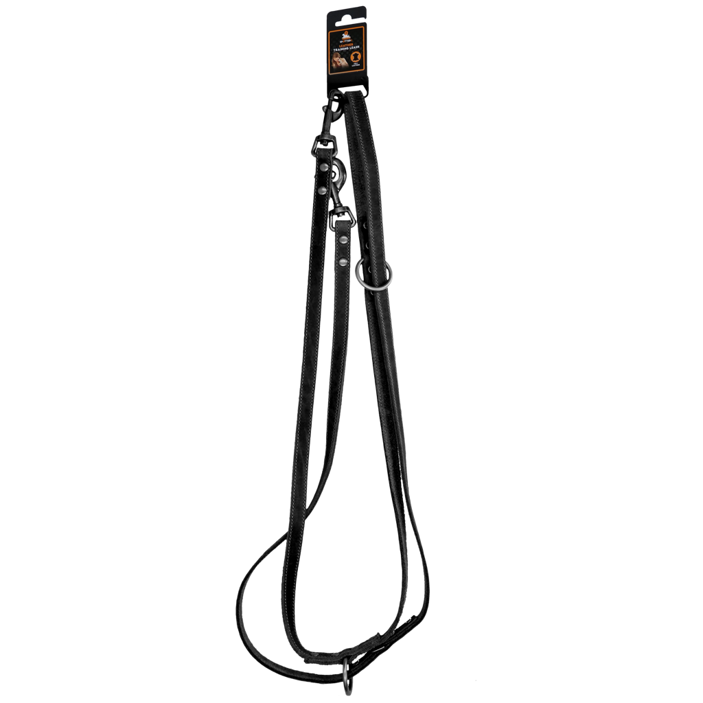 Trainingsleine aus Leder Schwarz - 250 cm