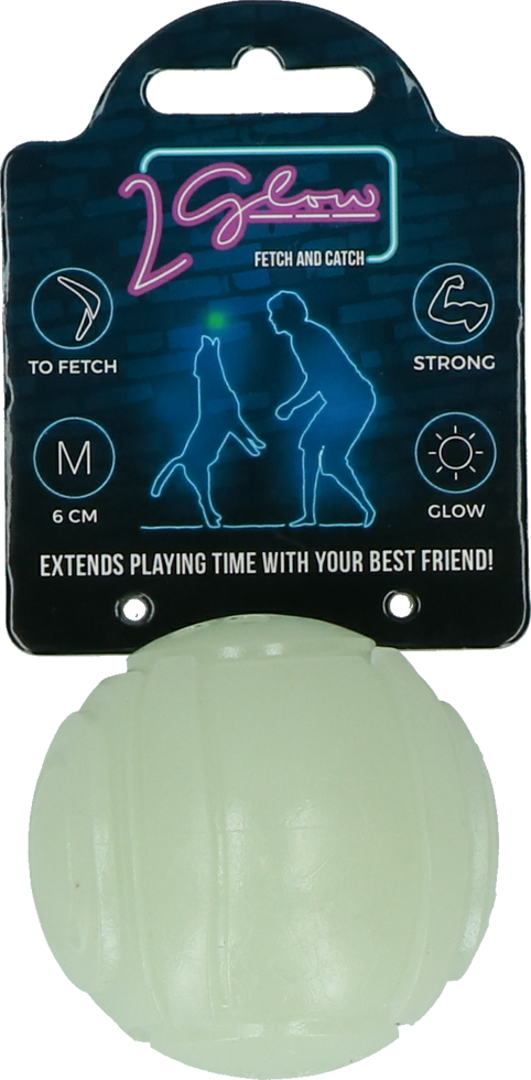Balle Lumineuse Glow Fetch & Play