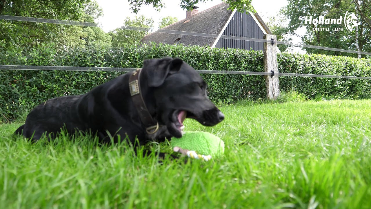 Peluche Lapin Couineur - 23 cm