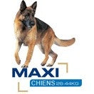 Croquettes Royal Canin Maxi Dermaconfort 12 kg