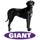 Croquettes Royal Canin Giant Adult 15 kg