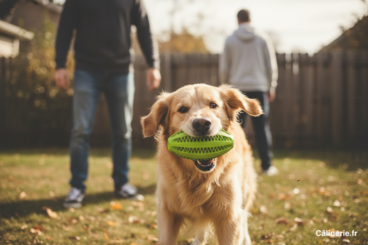Jouet Dentaire Gloria Ballon Rugby 11 cm