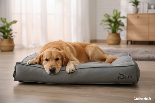 Coussin Lancaster Gris - 120x90 cm