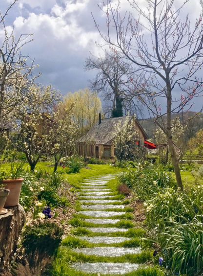 Se nourrir de son jardin