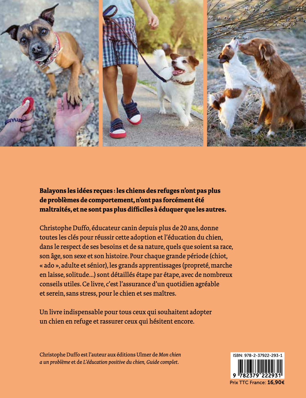 Adopter un chien en refuge — Toutes les clés pour réussir
