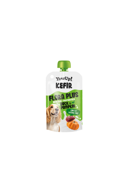 Iogurte Kefir de Pato & Abóbora — Conjunto de 10