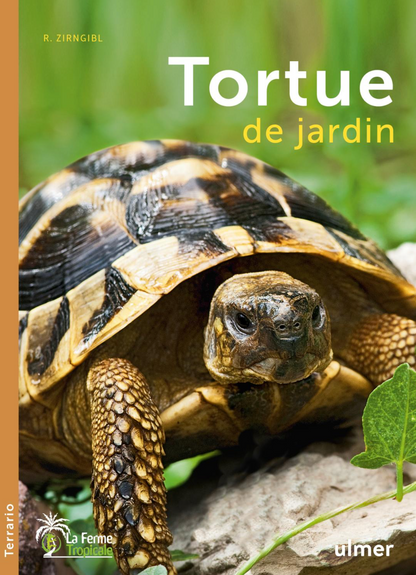 Couverture Tortue de jardin - Reiner Zirngibl - Ulmer éditions