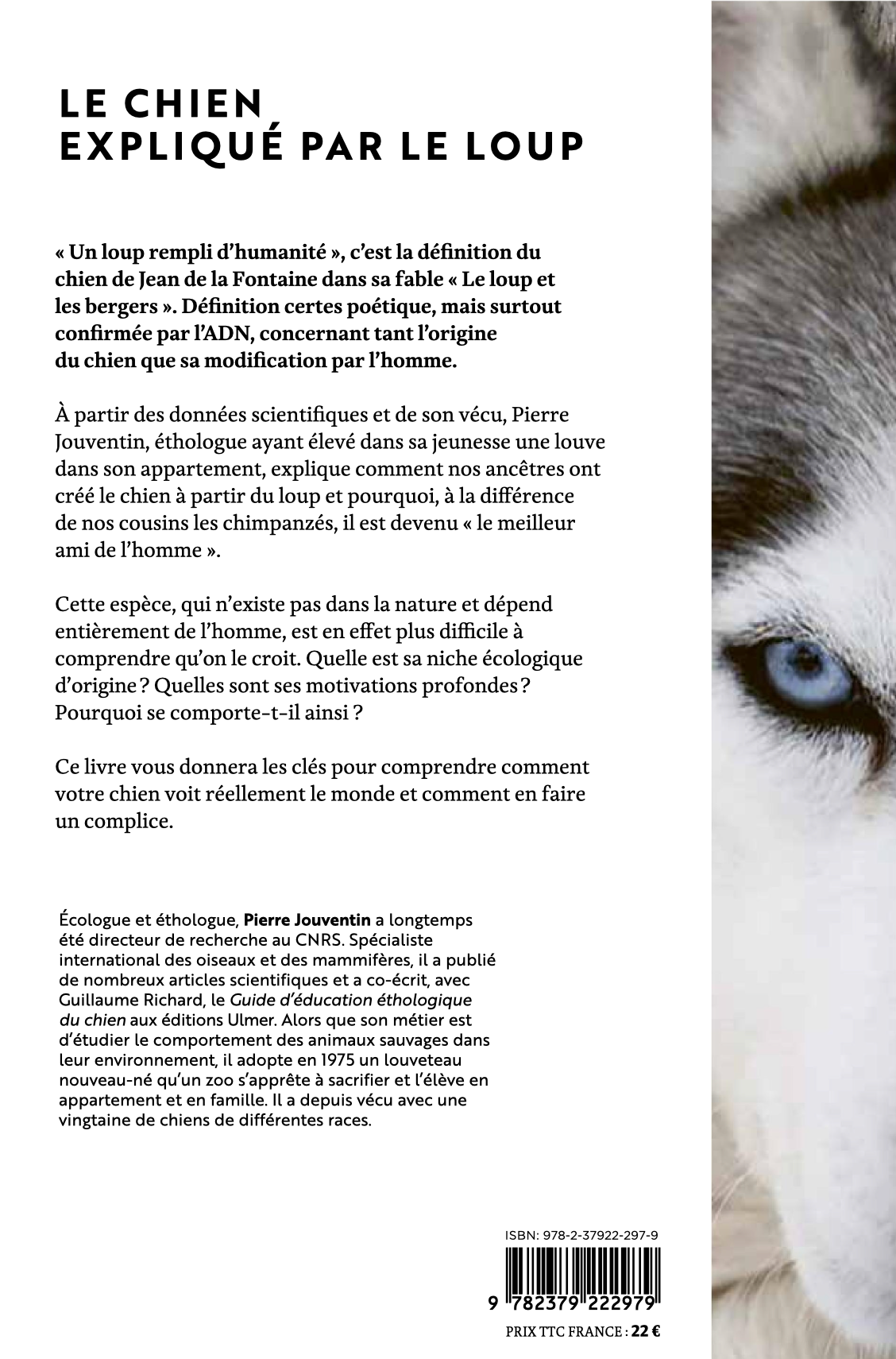 Le chien — Un loup rempli d’humanité