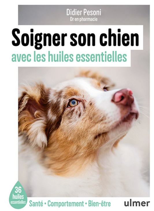 Soigner son chien avec les huiles essentielles